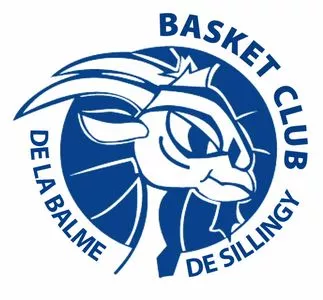 PARTENAIRE - Match de Basket à La Balme de Sillingy
