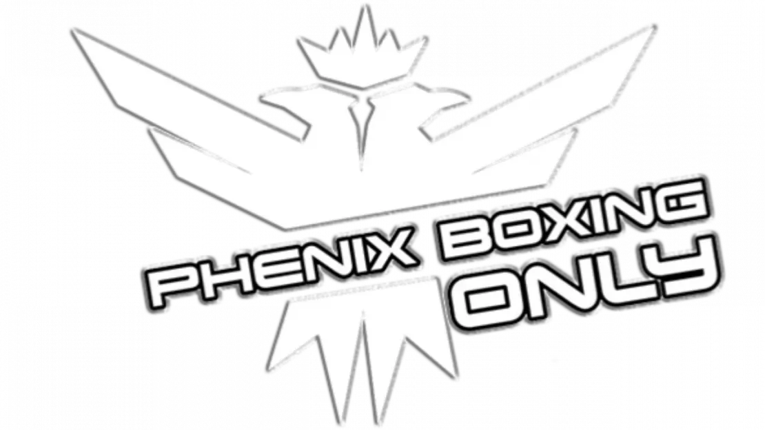 PARTENAIRE – Phenix Boxing Only à Saint-Julien