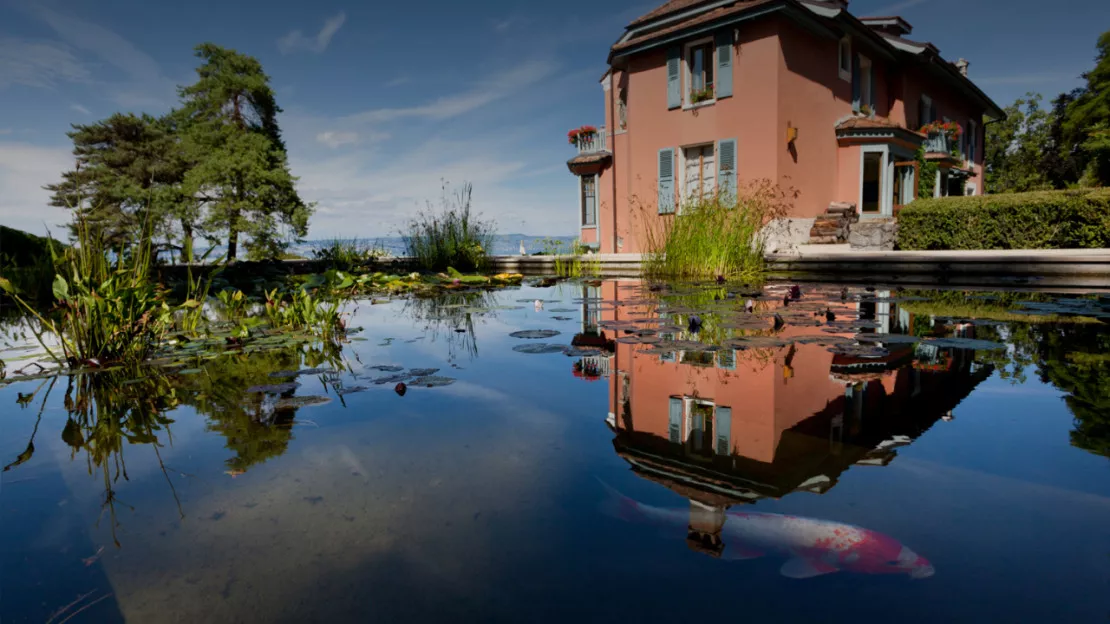 Communauté de Communes du Pays d'Evian et de la Vallée d'Abondance : journée mondiale des zones humides