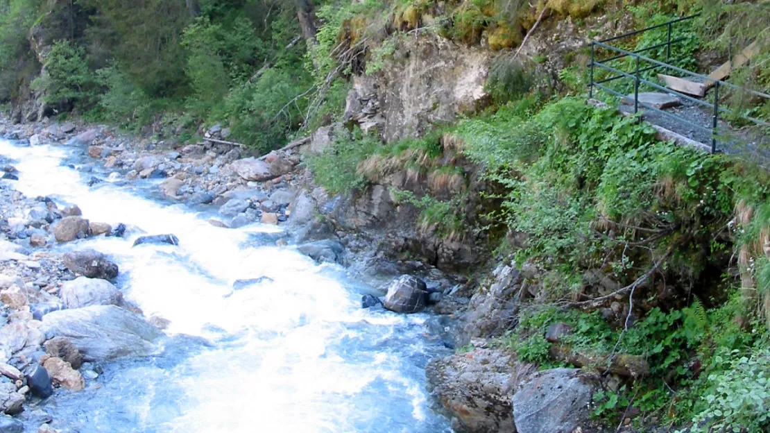 "52% des rivières de la région sont en bon état écologique"