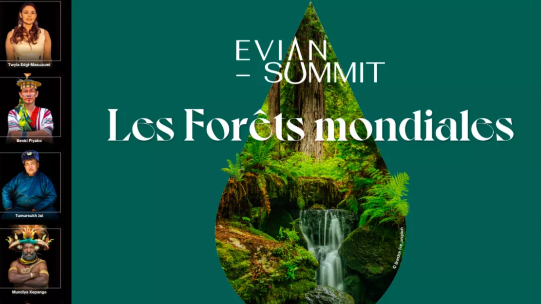 Ce samedi 25 novembre, un colloque international à Evian pour s'inquiéter de la santé des forêts mondiales