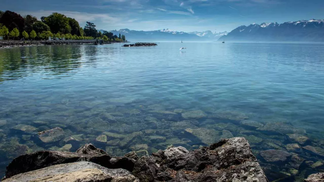 Genève se mobilise pour son patrimoine aquatique