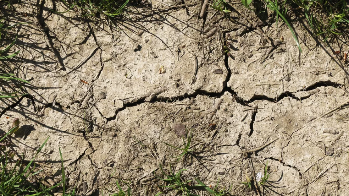 L'Ain en catastrophe naturelle sécheresse