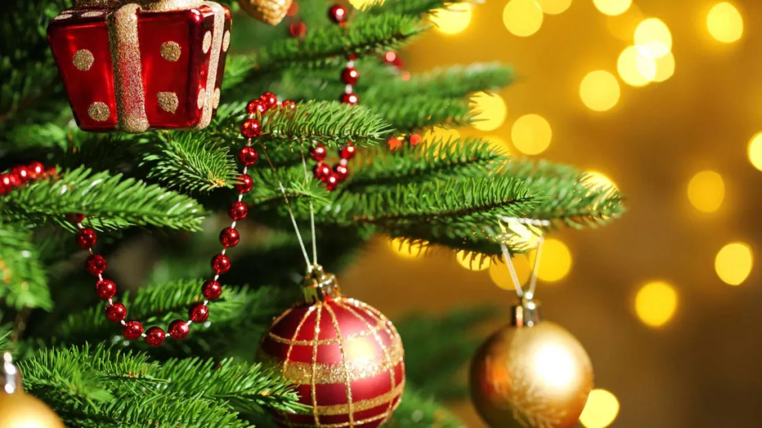 Sallanches : la Municipalité à la recherche de son sapin de Noël 2024