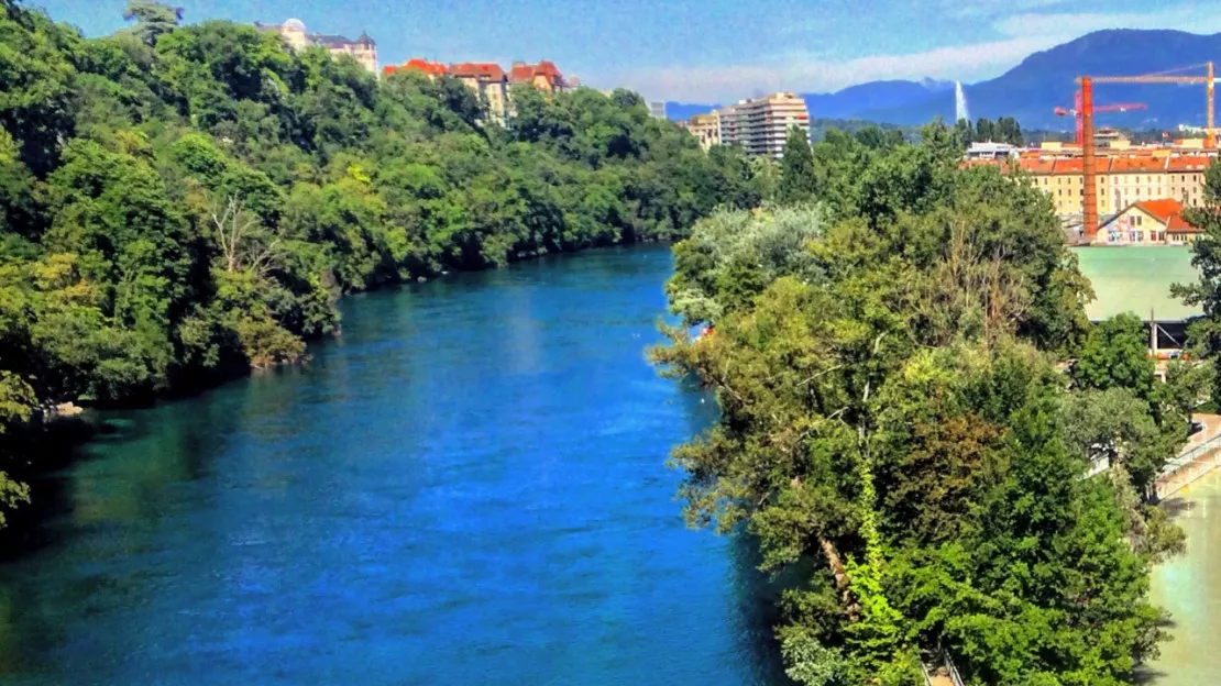 Genève : pas de prolifération de cyanobactéries dans le Rhône