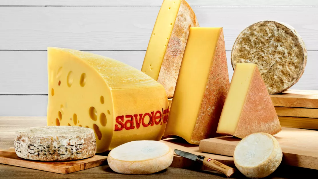 Salon de l’Agriculture : des distinctions pour les fromages de Savoie