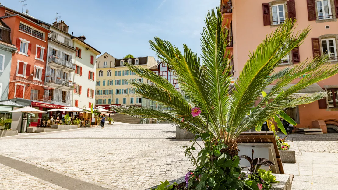 Sécheresse : la Ville d'Evian aux petits soins de ses arbustes