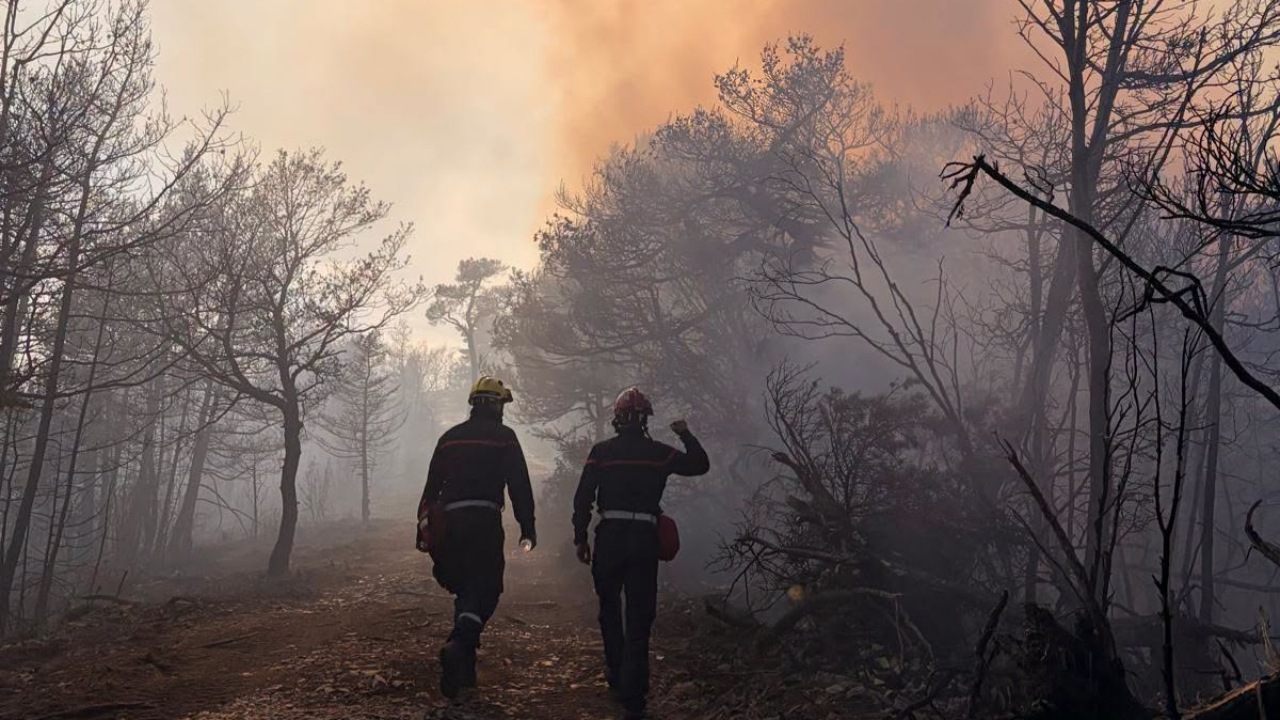 18 hectares détruits par les flammes à La Chapelle, un autre incendie gagne du terrain en Maurienne 18 hectares détruits par les flammes à La Chapelle, un autre incendie gagne du terrain en Maurienne