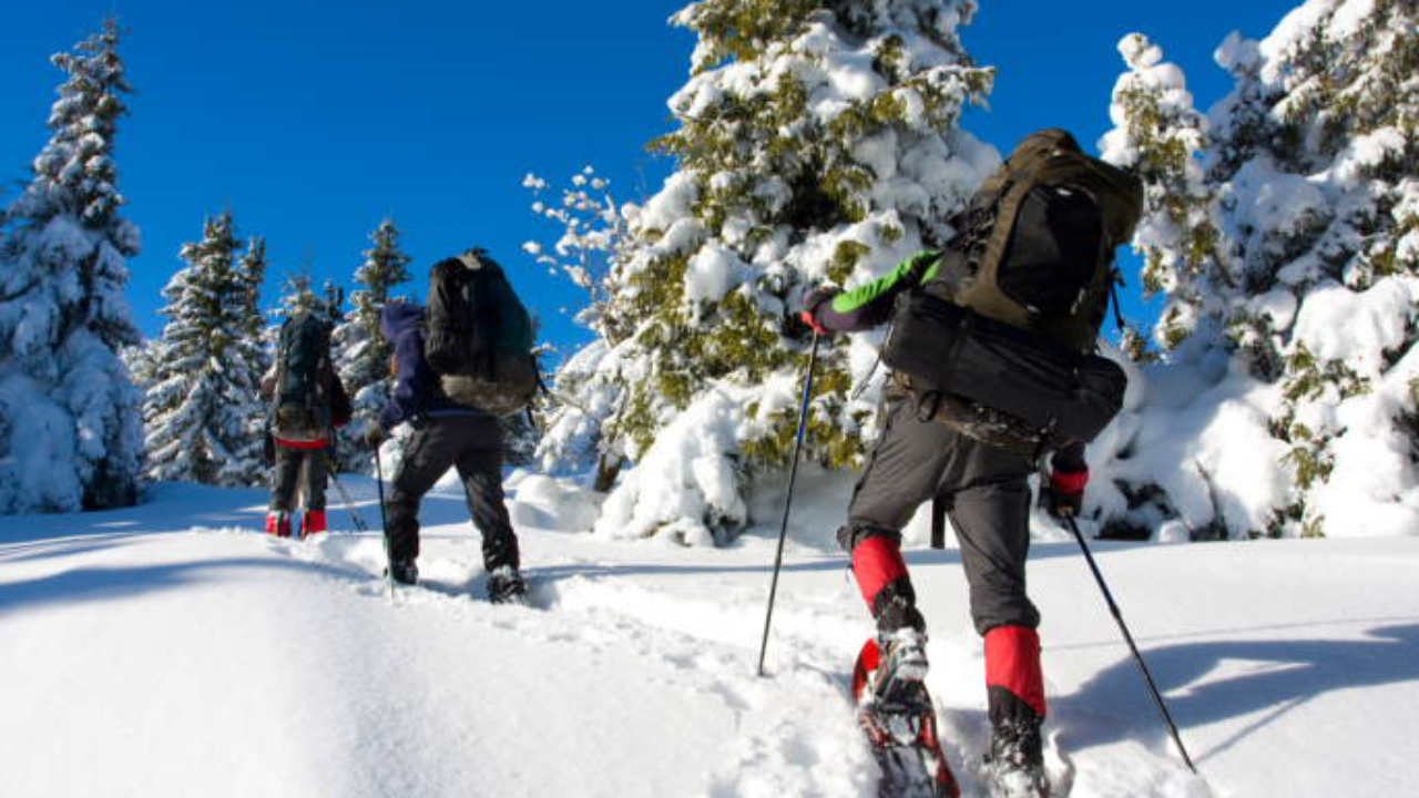 A l'aventure en France : Nos Pays de Savoie dans les meilleurs départements