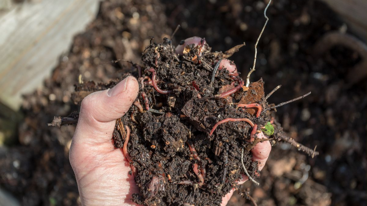 Agglo Annemasse: don de compost aux habitants