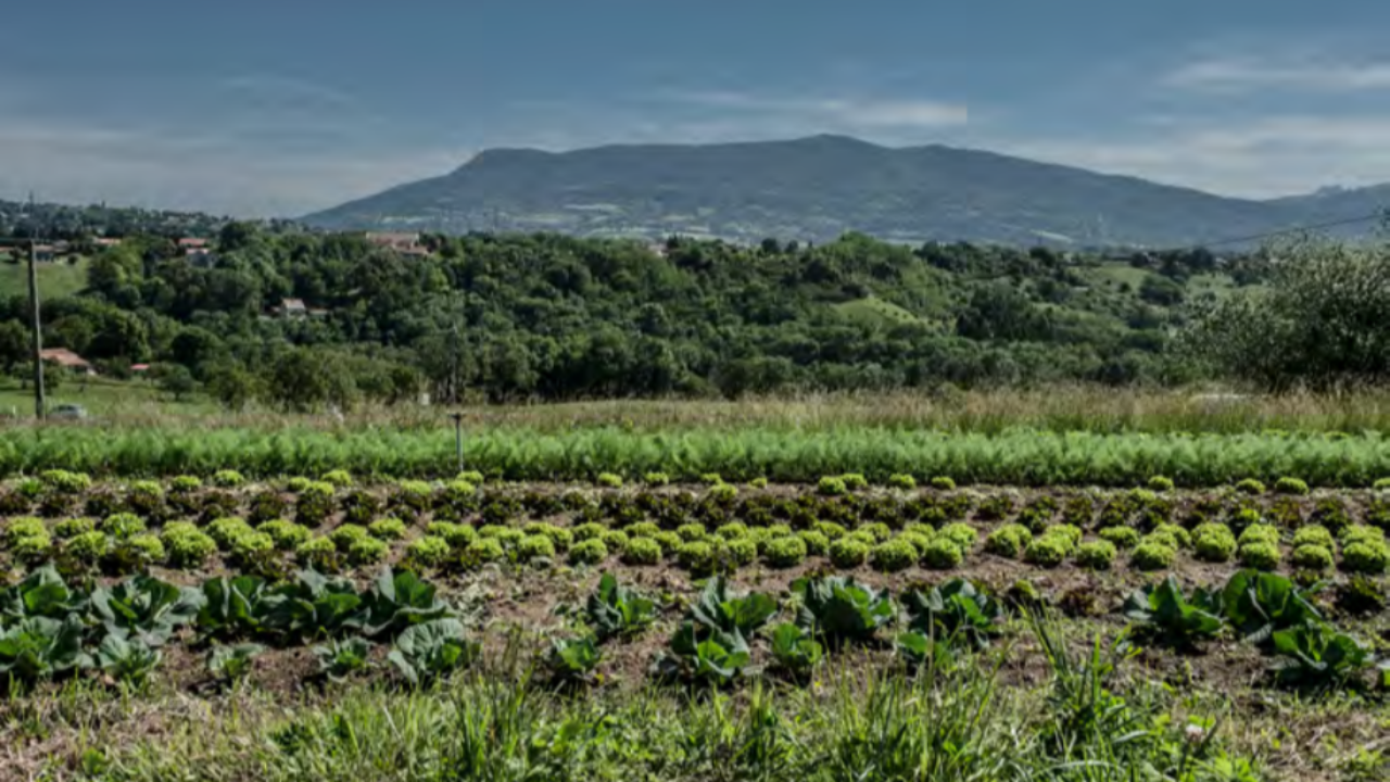 Grand Genève : un appel à candidature sur l'agriculture