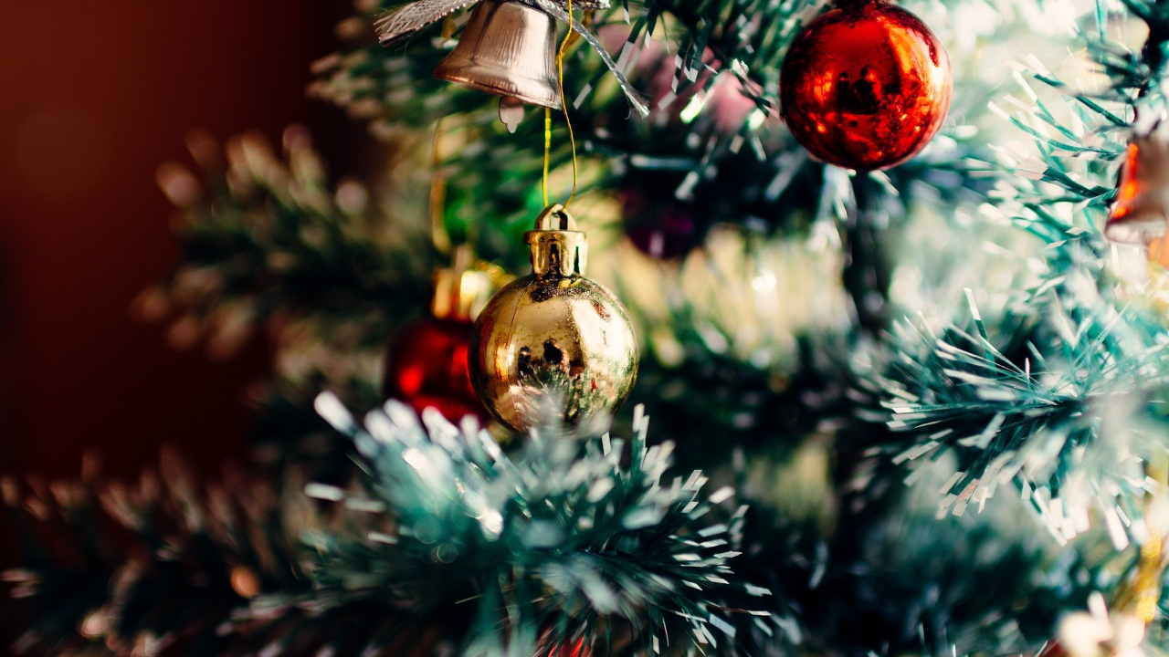 Annecy : La Ville r&eacute;it&egrave;re son "No&euml;l partag&eacute;" pour permettre aux &eacute;tudiants de passer les f&ecirc;tes en famille