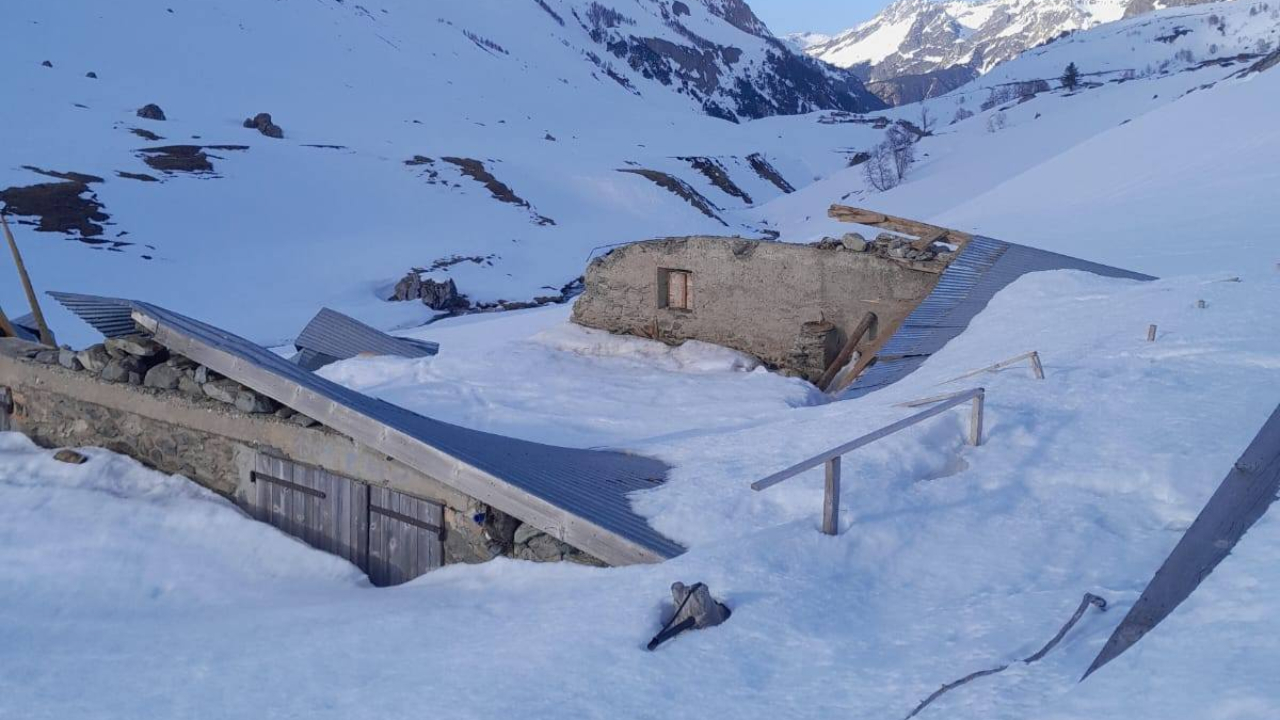 Avalanche en Vanoise : un alpage détruit menace l’activité d’une chèvrerie à Pralognan Avalanche en Vanoise : un alpage détruit menace l’activité d’une chèvrerie à Pralognan