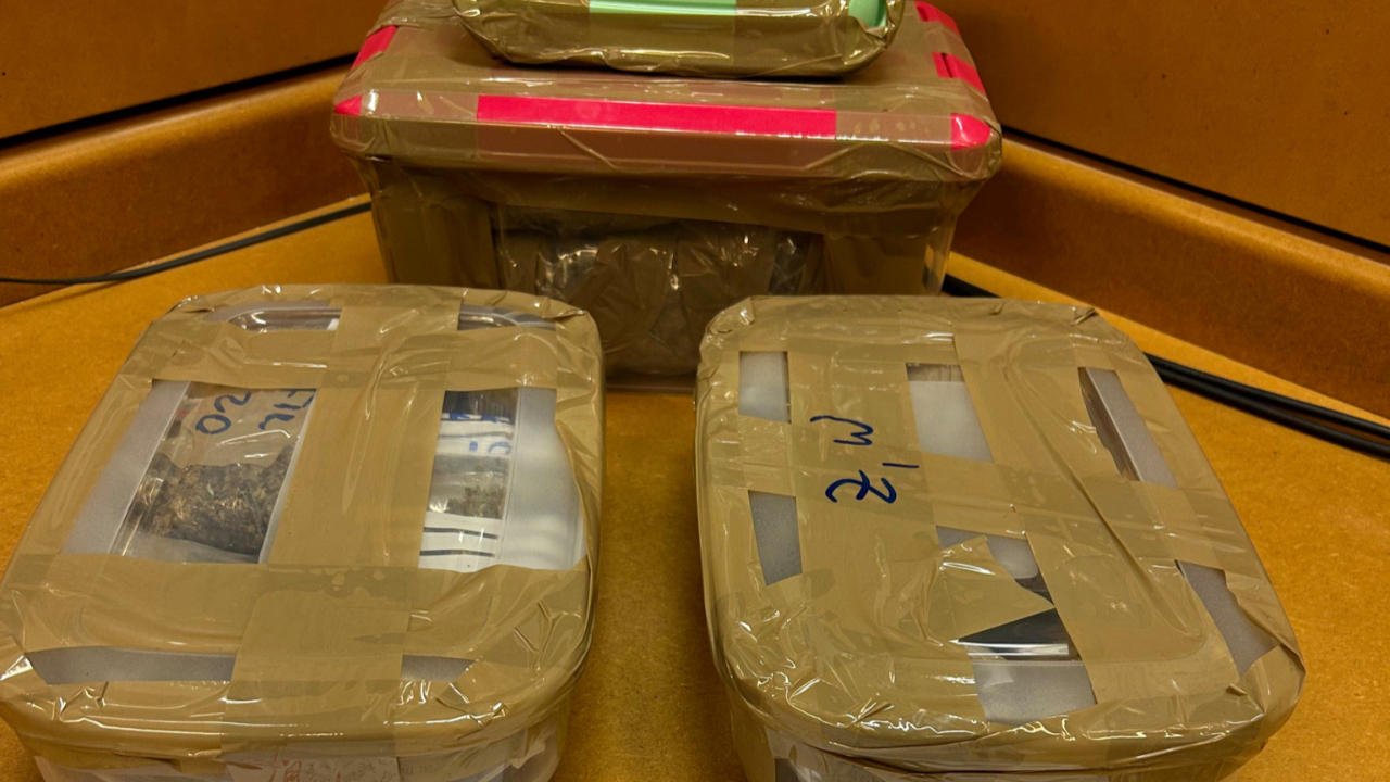 Belle saisie de drogue grâce à la coopération franco-genevoise