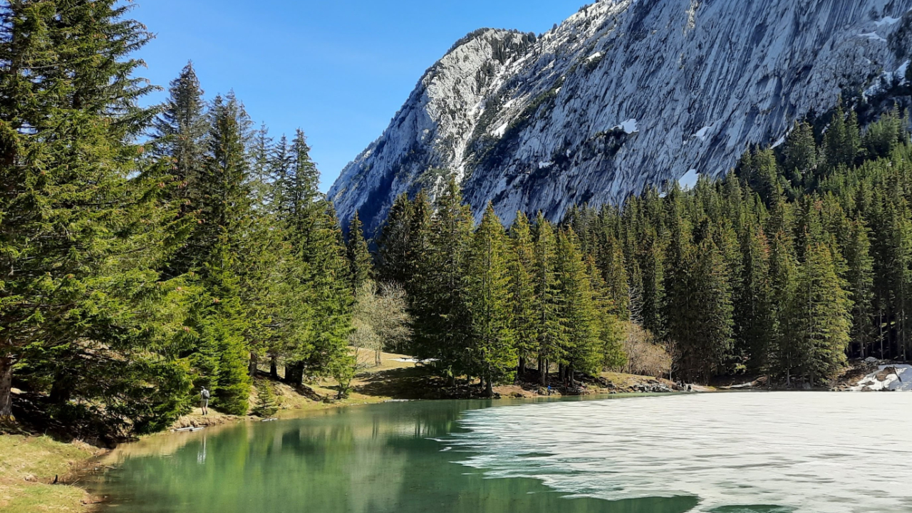 C’est la journée mondiale des zones humides ce jeudi