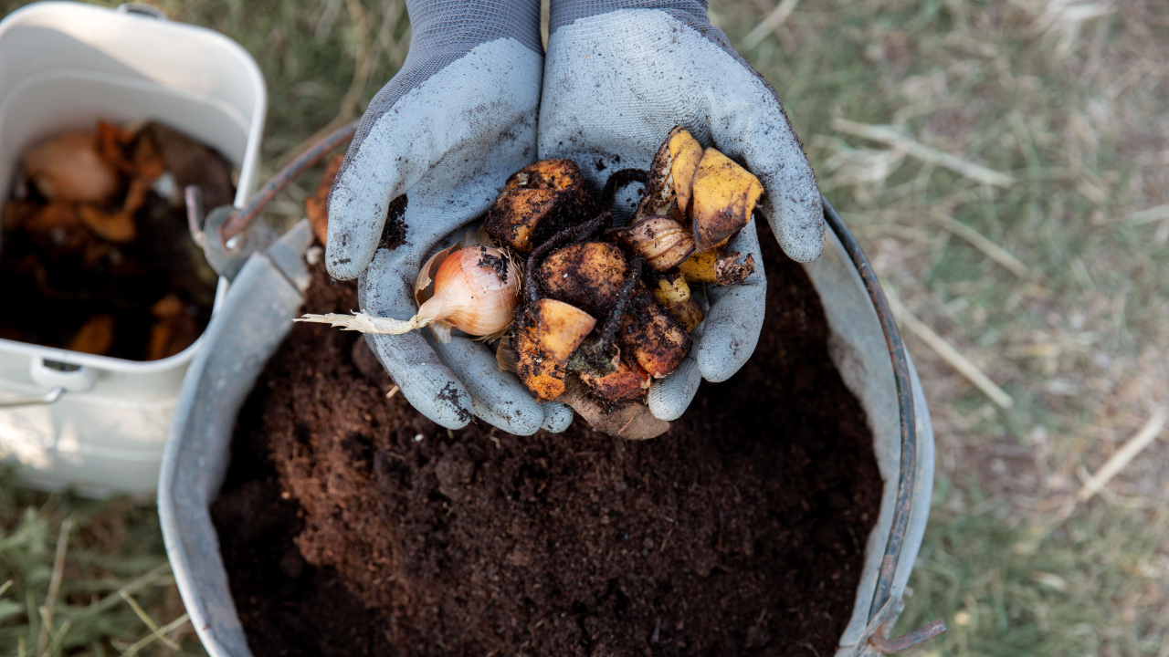 Compost gratuit : Annemasse Agglo resserre la distribution sur quatre jours en octobre Compost gratuit : Annemasse Agglo resserre la distribution sur quatre jours en octobre