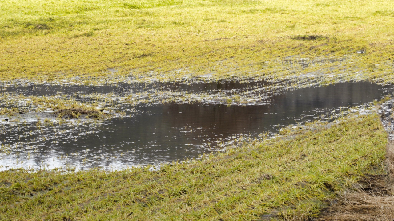 Cruseilles : 900 m³ de lisier déversés après la rupture d’une fosse Cruseilles : 900 m³ de lisier déversés après la rupture d’une fosse