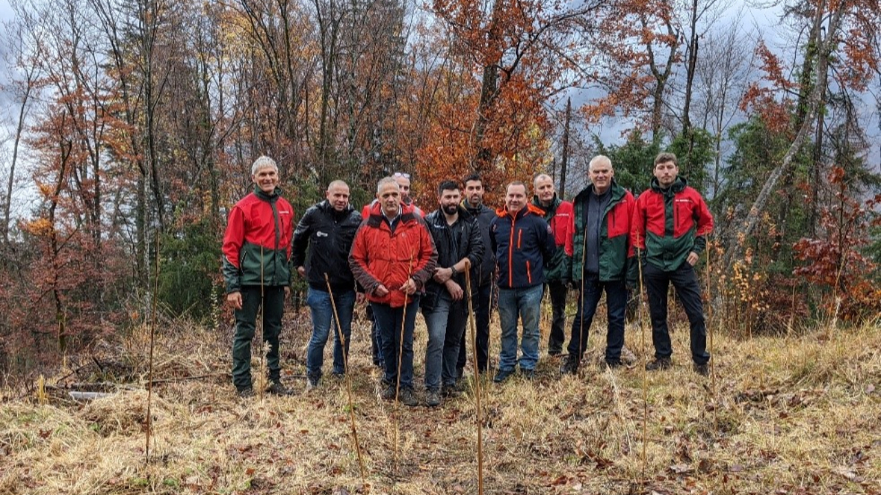 De nouveaux arbres pour la for&ecirc;t publique de Sallanches