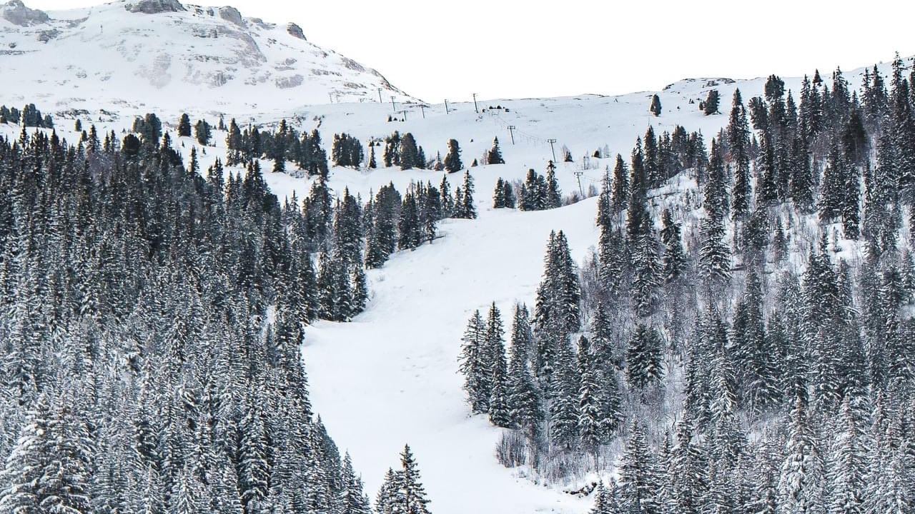 De nouvelles ouvertures de stations annoncées ce week-end De nouvelles ouvertures de stations annoncées ce week-end