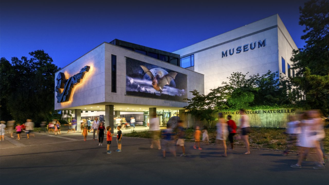 Gen&egrave;ve : La r&eacute;ouverture du Museum d'histoire naturelle d&eacute;cal&eacute;e &agrave; 2036