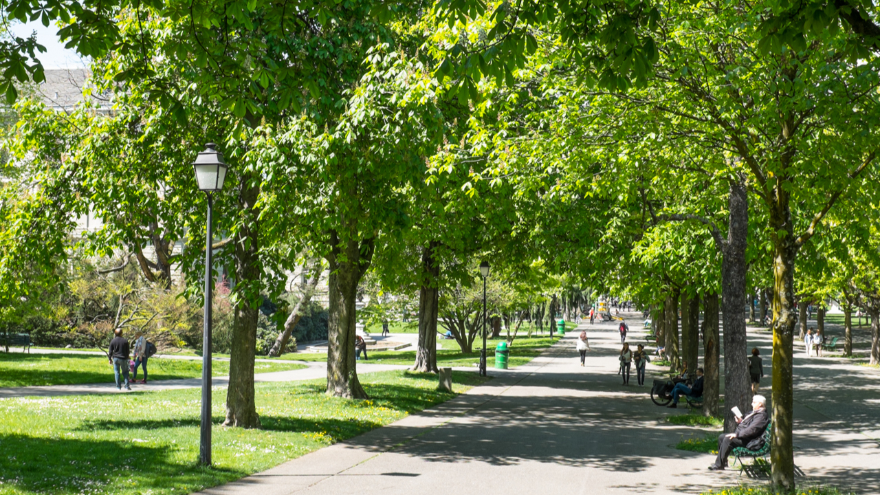 Genève veut protéger sa nature en ville
