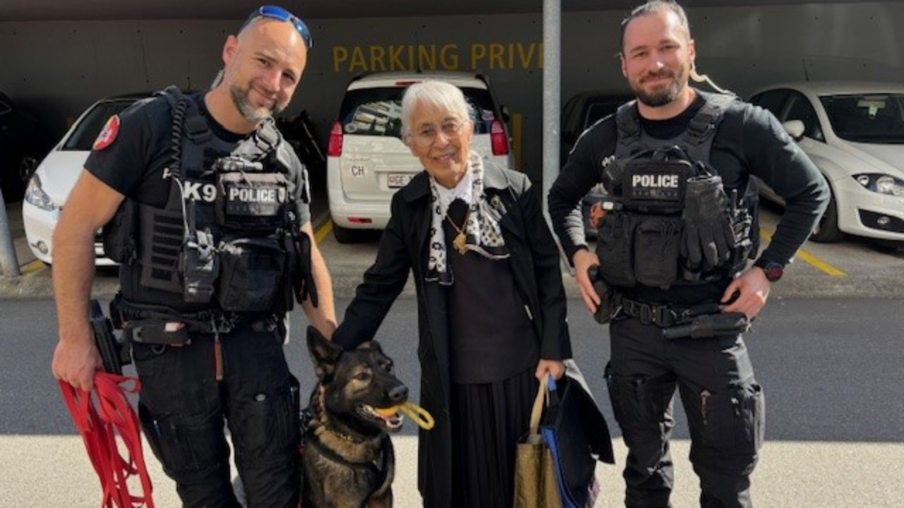 Grand-Saconnex: arrestation d'un mineur