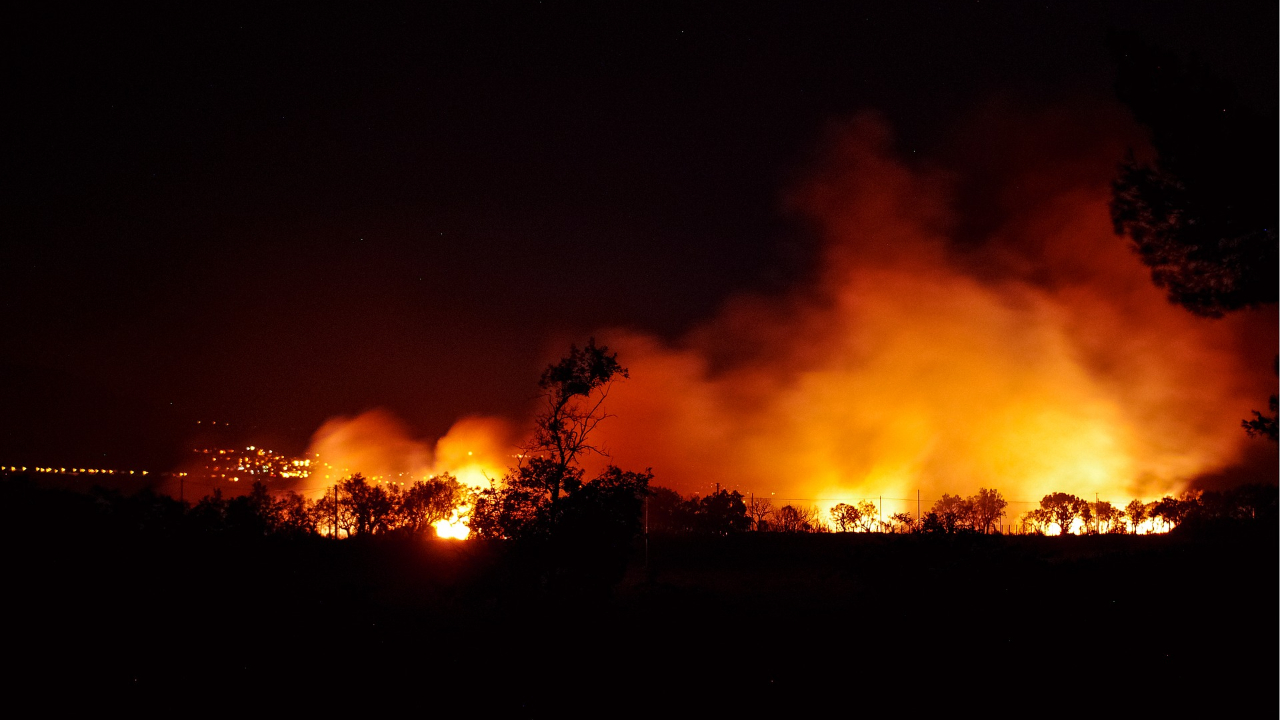 Haute-Savoie : plus de moyens pour lutter contre les feux de forêt