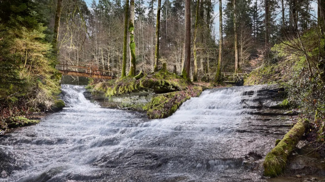 La qualité de l’eau potable est bonne à Lausanne La qualité de l’eau potable est bonne à Lausanne