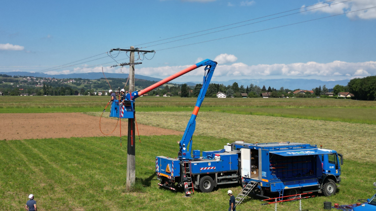 La Tour : les lignes électriques protégées pour les oiseaux