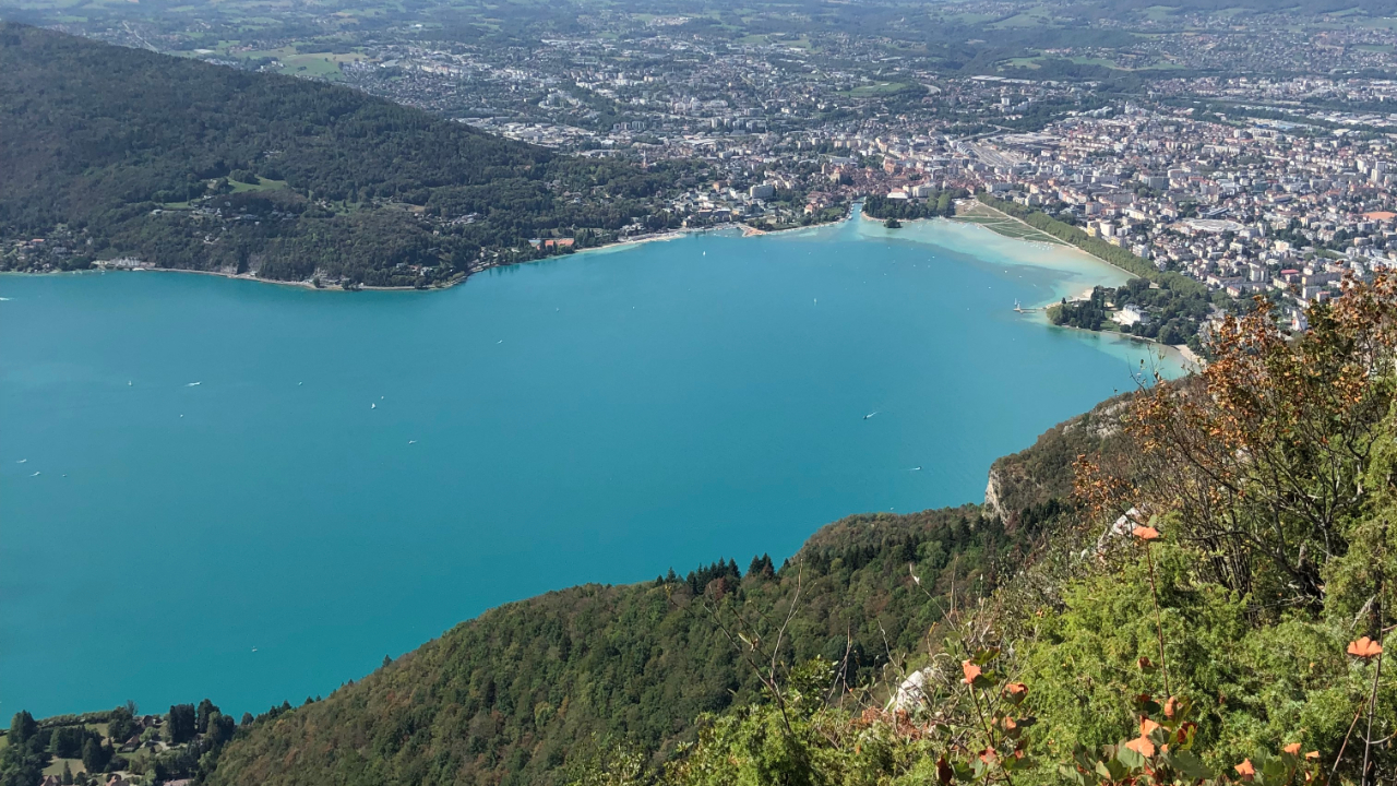 Le crush en ligne, une spécialité d'Annecy ?