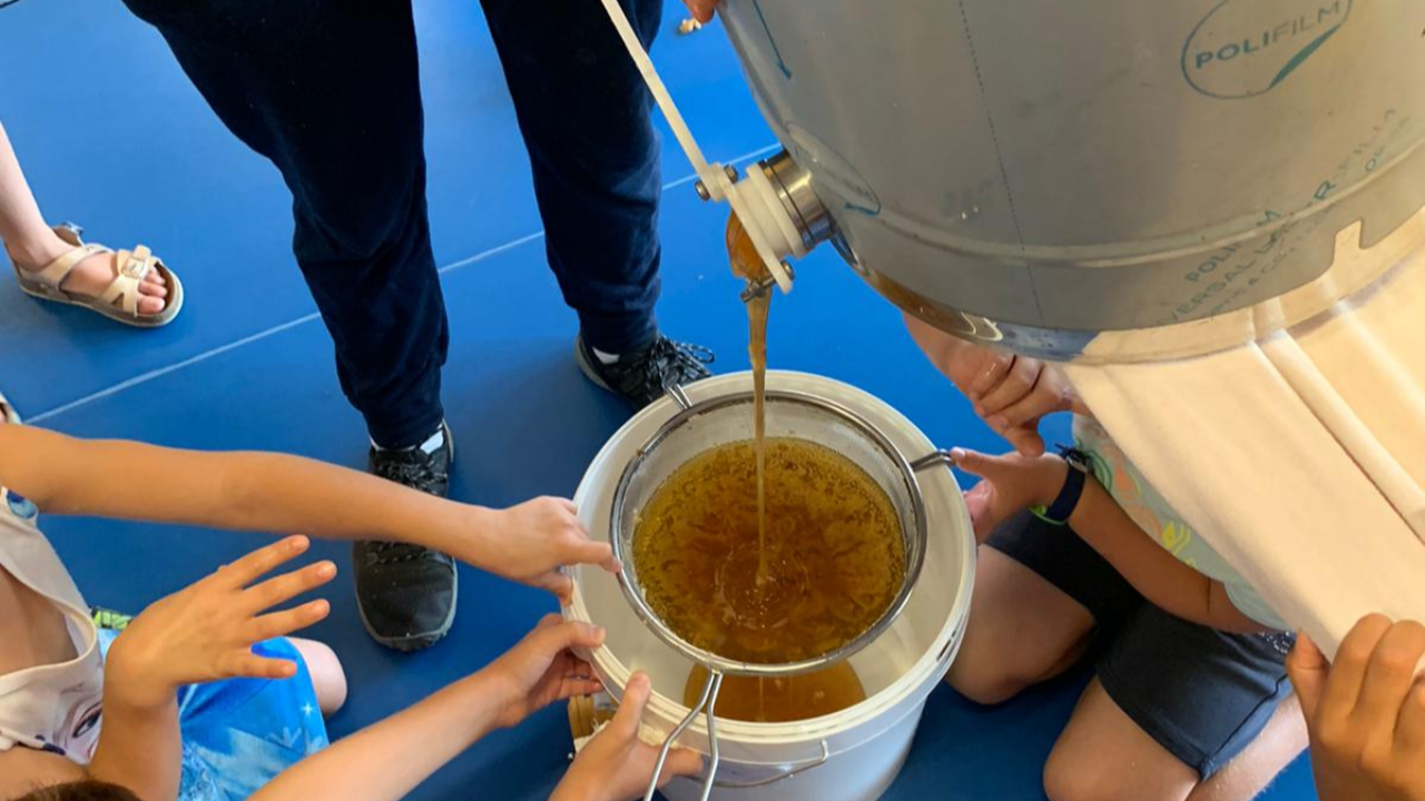 Les enfants de Thonon se familiarisent avec la r&eacute;colte du miel