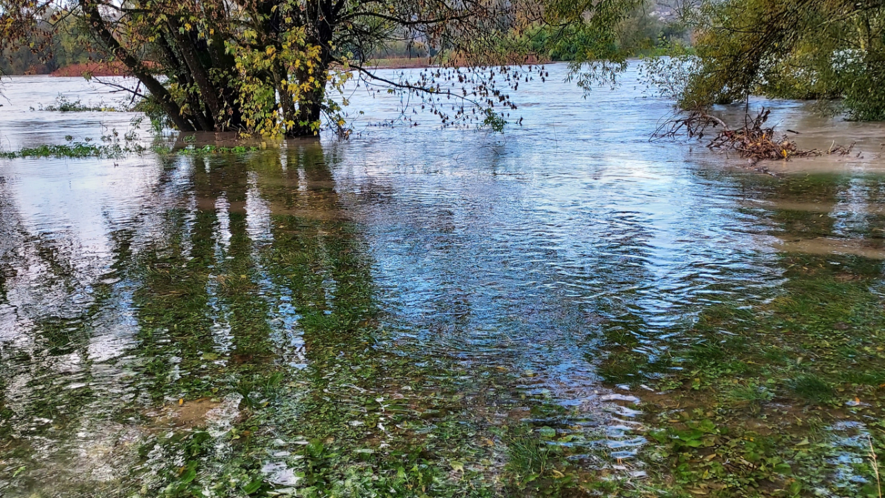 Les maraîchers appellent à la solidarité