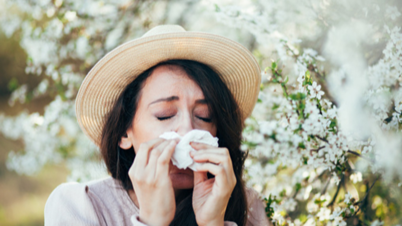 Les Pays de Savoie et l’Ain fortement touchés par le pollen