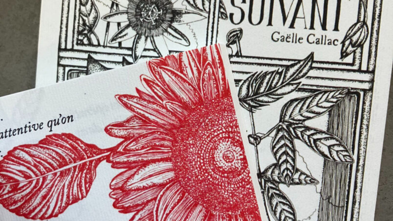 Lucinges : rencontre-dédicace avec l'auteure Gaëlle Callac à l'Archipel Butor (interview)