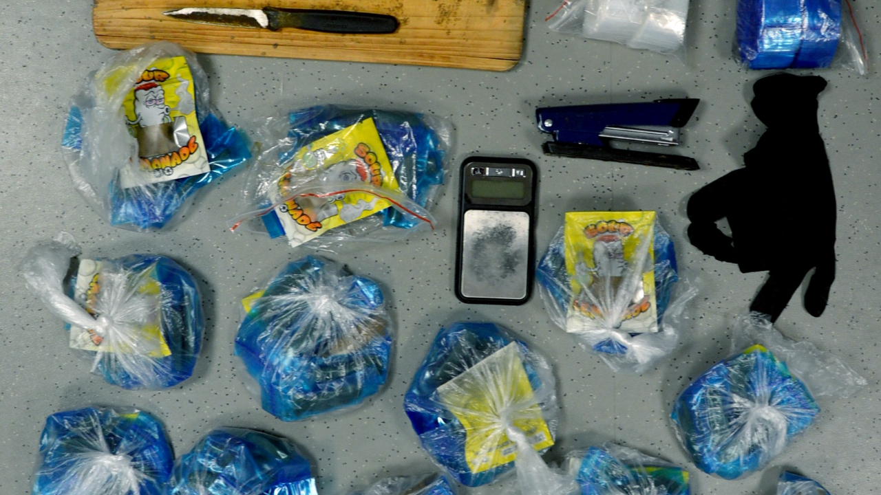 Nouveau coup de filet dans le trafic de drogue &agrave; Annemasse