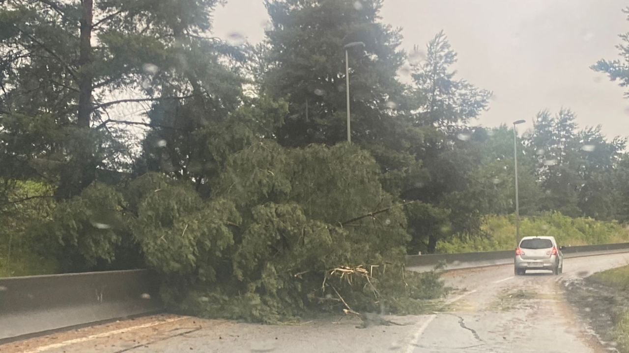 Orages : un mort et des dégâts en pays de Savoie