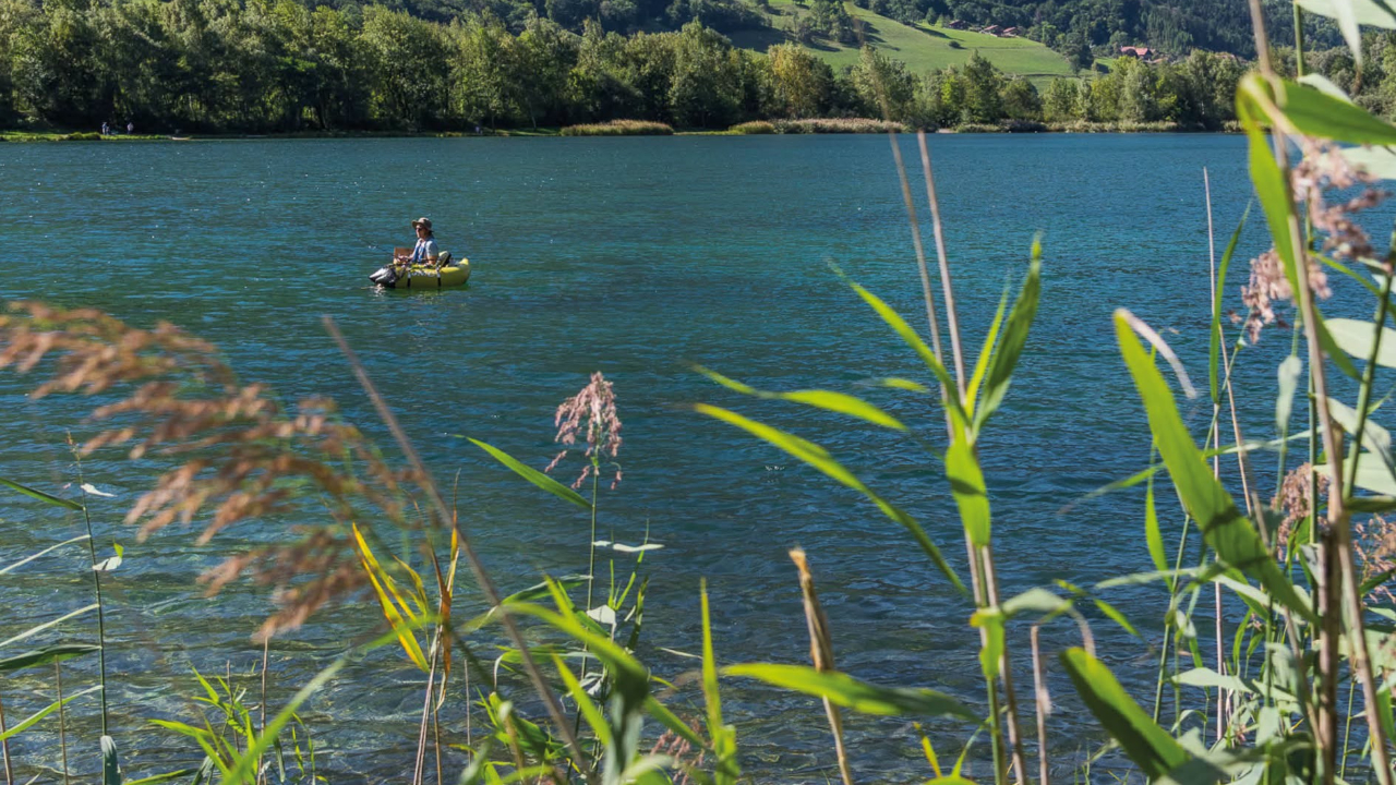 Sallanches : une enquête pour tirer le bilan de l’été au site naturel des Ilettes Sallanches : une enquête pour tirer le bilan de l’été au site naturel des Ilettes