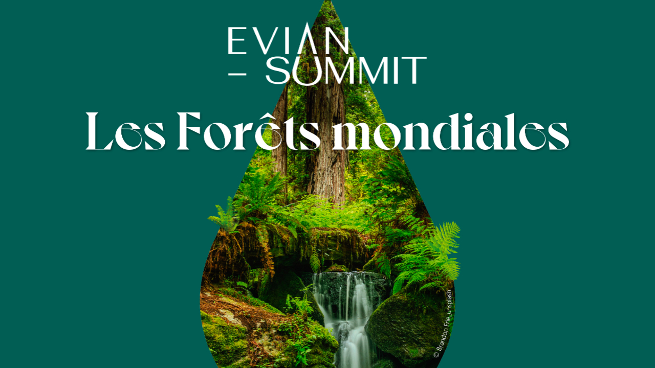 Samedi 25 novembre &agrave; Evian :  mobilisation pour la protection des for&ecirc;ts dans le monde