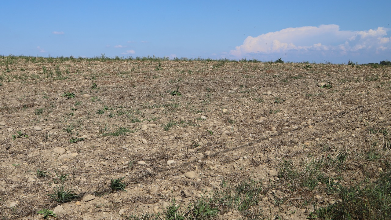 Sécheresse dans l'Ain : la Plaine de l'Ain placée en alerte renforcée Sécheresse dans l'Ain : la Plaine de l'Ain placée en alerte renforcée