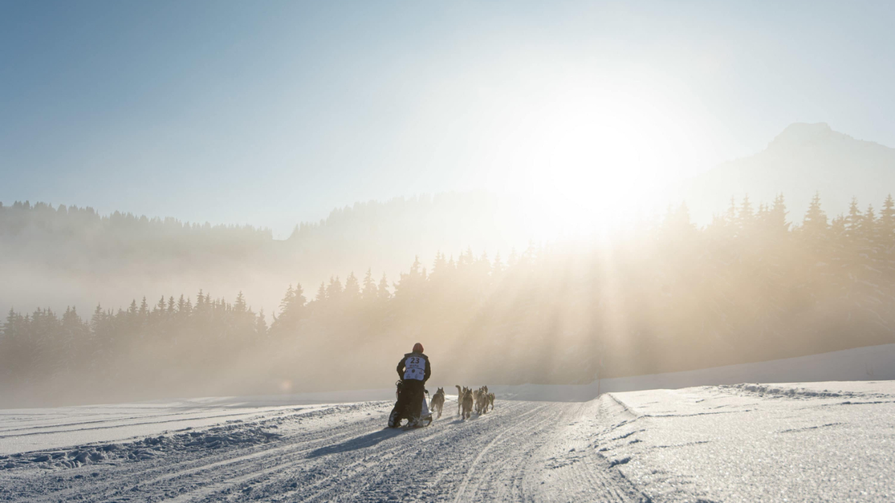 Ski alpin et Grande Odyssée dans l'info neige ce lundi !