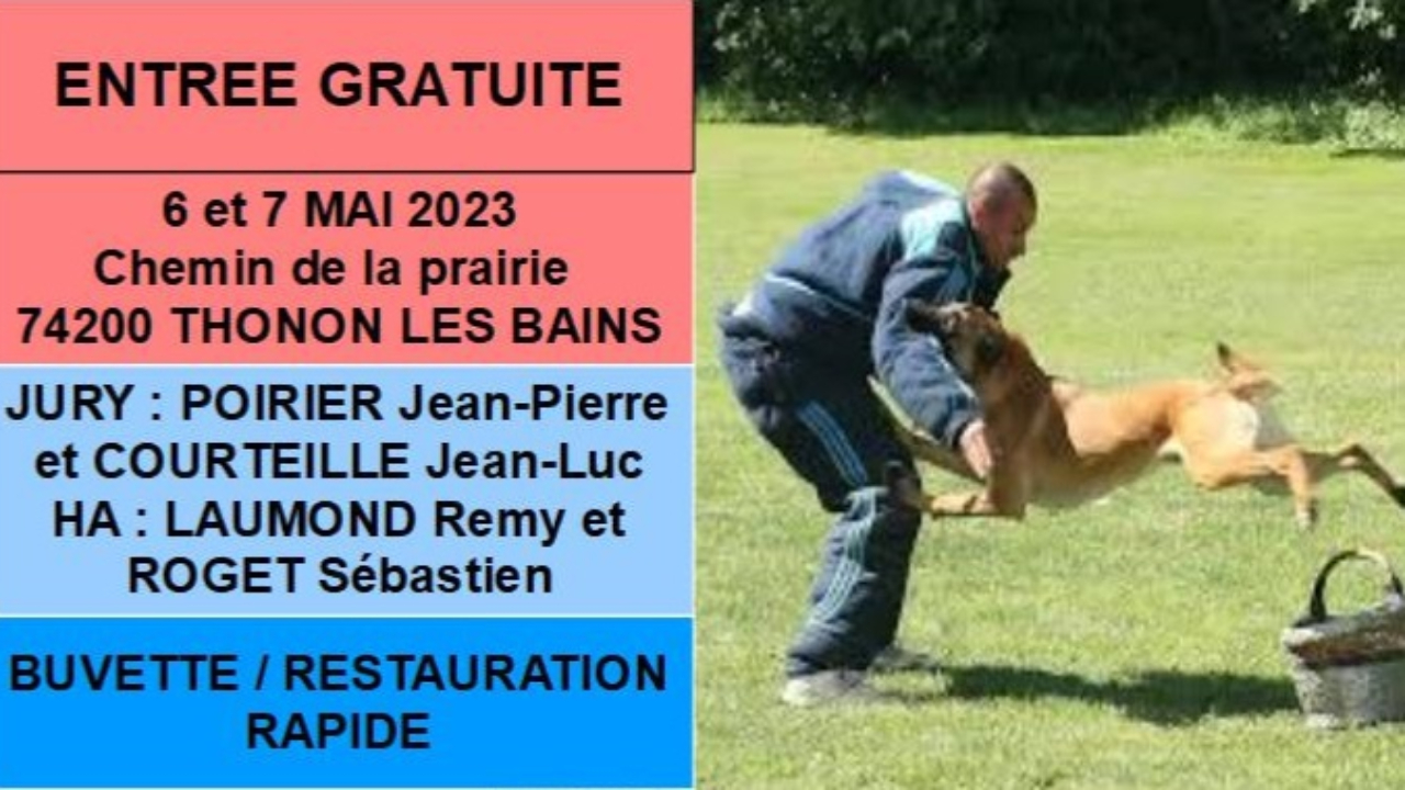 Thonon : un concours d'éducation canine Thonon : un concours d'éducation canine