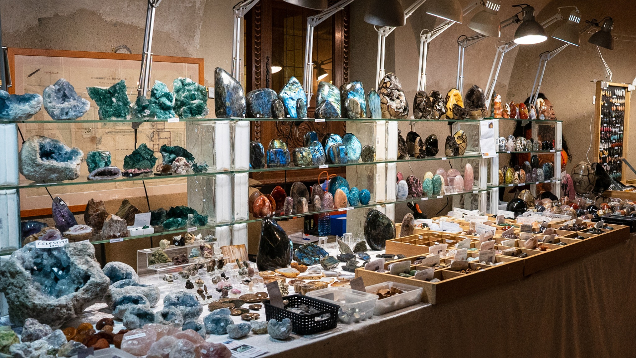 Une bourse aux minéraux au château de Ripaille, à Thonon (interview)