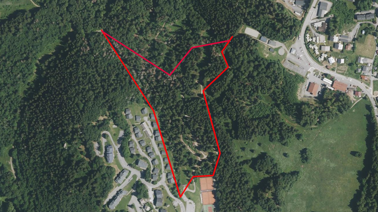 Des abattages d’arbres en cours à Arâches-la-Frasse