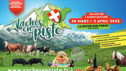 50 000 personnes pour « Vaches en pistes » à La Roche !