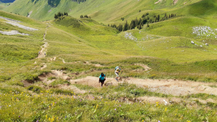 A partir du 26 septembre, la CCPEVA va entreprendre des travaux de restauration du GR5 menant des Chalets des Bise au le Col de Bise A partir du 26 septembre, la CCPEVA va entreprendre des travaux de restauration du GR5 menant des Chalets des Bise au le Col de Bise