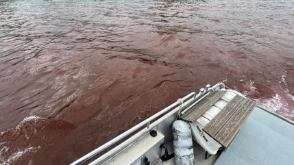 Allinges : 200 litres d'encre rouge d&eacute;vers&eacute;s dans le lac L&eacute;man