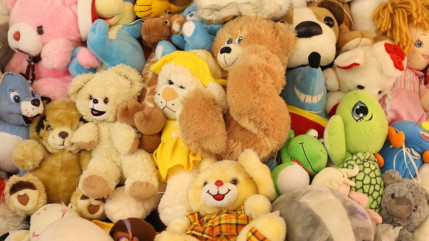 Auvergne-Rhône-Alpes : Collecte de jouets pour Noël