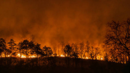 Cluses : Une association ouvre une cagnotte pour les incendies en Gironde
