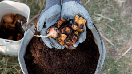 Compost gratuit : Annemasse Agglo resserre la distribution sur quatre jours en octobre