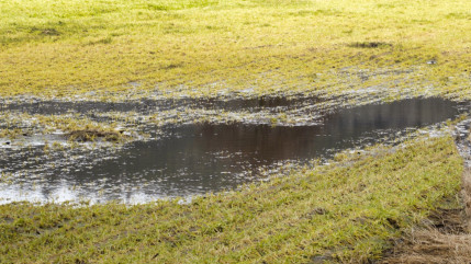 Cruseilles : 900 m&sup3; de lisier d&eacute;vers&eacute;s apr&egrave;s la rupture d&rsquo;une fosse
